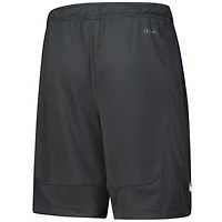 Youth Nike  Anthracite Michigan State Spartans Fly Performance Shorts