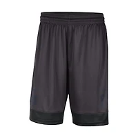 Men's Nike Charcoal Michigan Wolverines Performance Fast Break Shorts