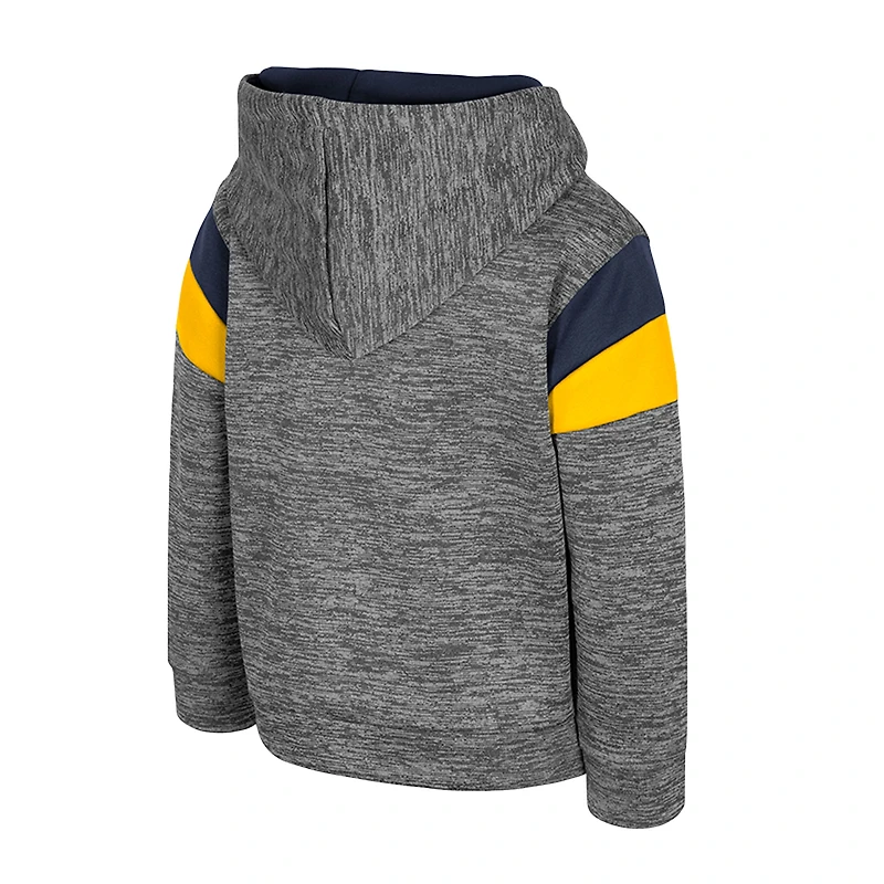 Toddler Colosseum Gray Michigan Wolverines Wizard City Hoodie