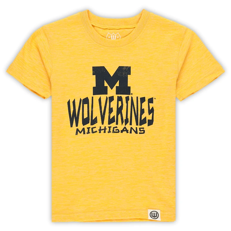 Toddler Wes & Willy Michigan Wolverines Cloudy Yarn T-Shirt Shorts Set