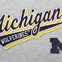 Sweat à capuche court en polaire Pro Standard pour femmes, gris chiné, Michigan Wolverines Script Tail