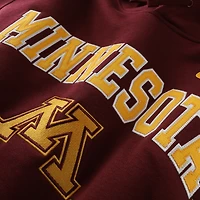 Sweat à capuche Nike Bordeaux Minnesota Golden Gophers Club pour homme