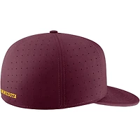 Casquette ajustée Nike Minnesota Golden Gophers True Performance pour homme, marron