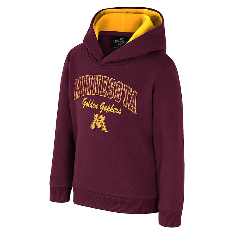 Sweat à capuche Centauri pour tout-petits Colosseum Maroon Minnesota Golden Gophers