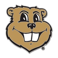WinCraft Minnesota Golden Gophers Secondary Logo Collector Pin