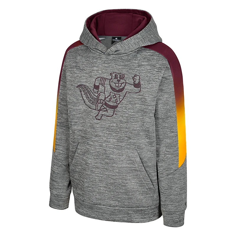 Sweat à capuche gris The Gang des Golden Gophers du Minnesota pour jeunes
