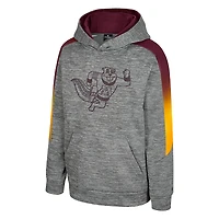 Sweat à capuche gris The Gang des Golden Gophers du Minnesota pour jeunes
