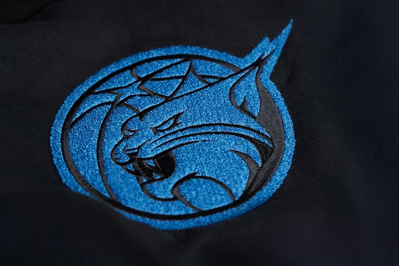 Sweat-shirt unisexe Stadium Essentials noir Minnesota Lynx Club Level