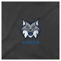 Unisex Stadium Essentials Heather Black Minnesota Lynx Relaxed Fit Big Shot Vintage Wash T-Shirt