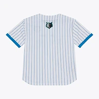 Men's Mitchell & Ness White Minnesota Timberwolves Head Coach Pinstripe Mesh Full-Button Baseball Jersey
