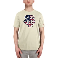 Men's New Era Cream Minnesota Twins Americana Flag Fill T-Shirt