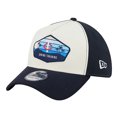 Men's New Era  Stone Minnesota Twins 2026 Spring Training Fan Pack Gradient 39THIRTY Flex Hat