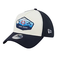 Men's New Era  Stone Minnesota Twins 2026 Spring Training Fan Pack Gradient 39THIRTY Flex Hat