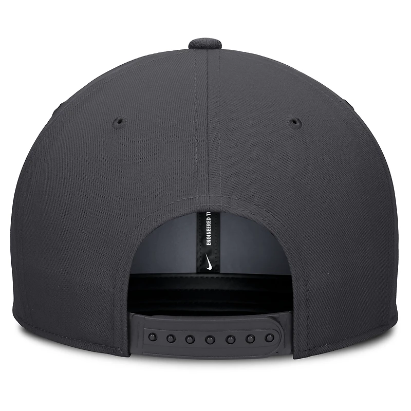Men's Nike Anthracite Minnesota Twins Statement Pro Snapback Hat