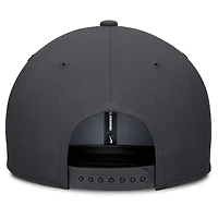 Men's Nike Anthracite Minnesota Twins Statement Pro Snapback Hat