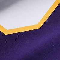 Men's Nike Adrian Peterson Purple Minnesota Vikings Alternate 2 Classic Retired Game Jersey
