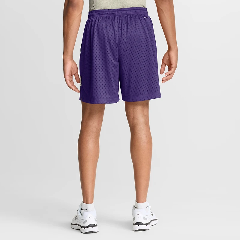 Men's Nike  Purple/Platinum Minnesota Vikings Sideline Standard Issue Dri-FIT Reversible Shorts
