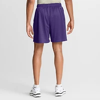 Men's Nike  Purple/Platinum Minnesota Vikings Sideline Standard Issue Dri-FIT Reversible Shorts