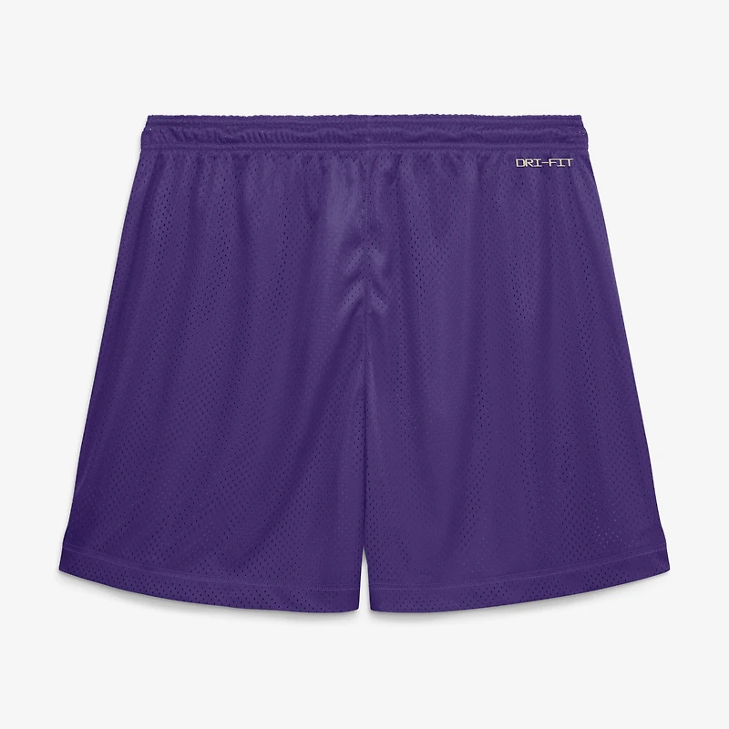 Men's Nike  Purple/Platinum Minnesota Vikings Sideline Standard Issue Dri-FIT Reversible Shorts