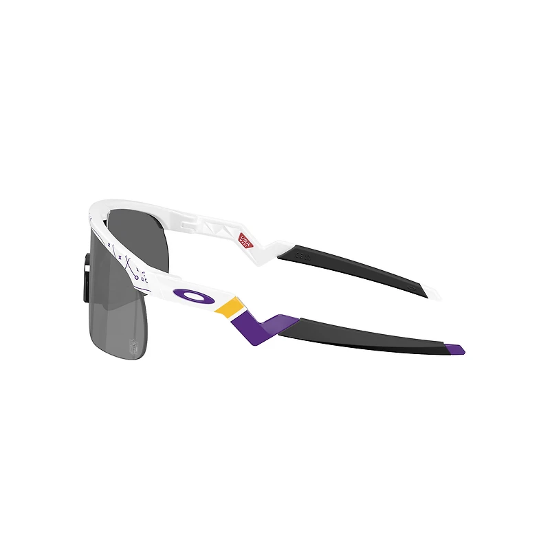 Oakley  Minnesota Vikings Resistor PRIZM Sunglasses