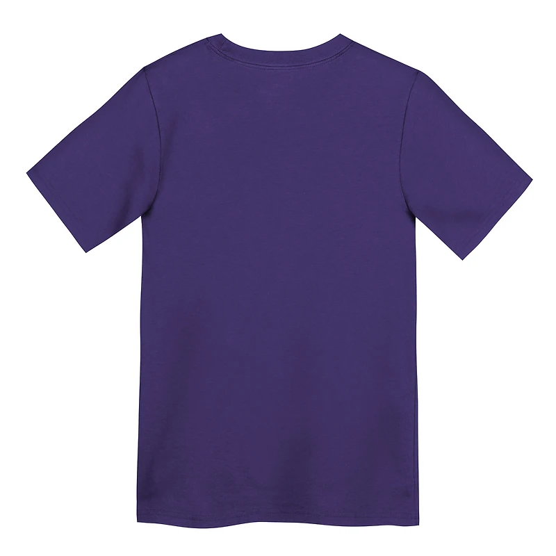 Preschool Nike Purple Minnesota Vikings Primary Logo Legend Performance T-Shirt