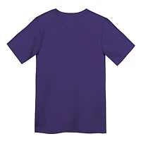 Preschool Nike Purple Minnesota Vikings Primary Logo Legend Performance T-Shirt