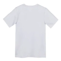 Preschool Nike White Minnesota Vikings Icon Legend Dri-FIT T-Shirt