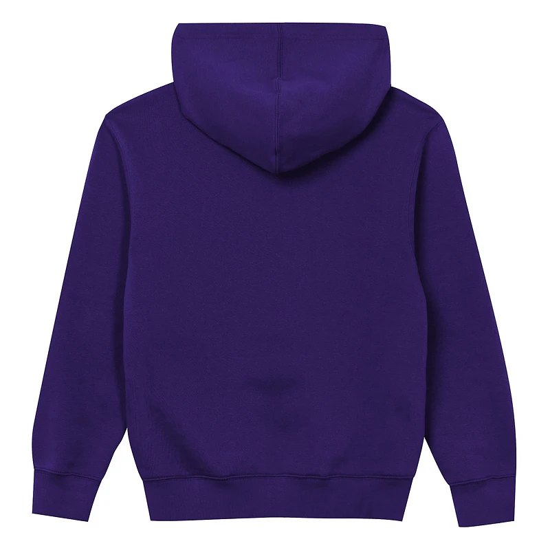 Toddler Outerstuff Purple Minnesota Vikings Back to Basics Hoodie