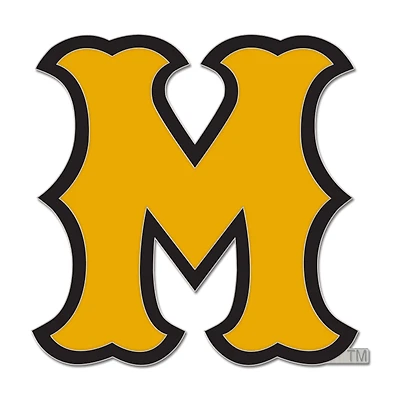 WinCraft Missouri Tigers College Vault Collector Pin
