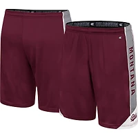 Short Colosseum Montana Grizzlies Haller pour homme, marron