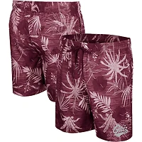 Men's Colosseum Maroon Montana Grizzlies What Else is New Swim Shorts