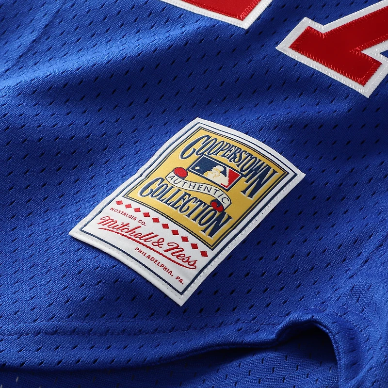 Mitchell & Ness pour homme Vladimir Guerrero Bleu Expos de Montréal Collection Cooperstown Maillot boutonné d'entraînement au bâton en maille