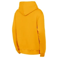 Youth Outerstuff  Gold Nashville Predators Back to Basics Hoodie