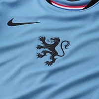 Youth Nike Blue Netherlands Women's National Team 2025/26 Away Replica Jersey