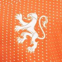 Youth Nike Orange Netherlands Women's National Team 2025/26 Home Replica Jersey