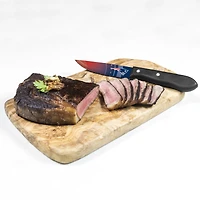 New England Patriots 4-Piece Stainless Steel Steak Knife Set