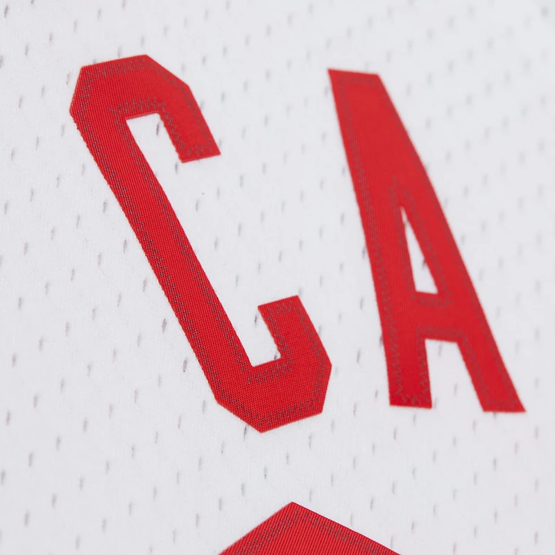 Maillot Mitchell & Ness Vince Carter blanc pour homme, New Jersey Nets, édition 2005/06 Hardwood Classics Swingman