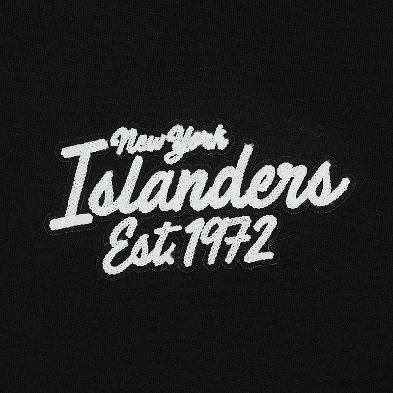Men's Pro Standard  Black New York Islanders Paint the City Pullover Hoodie