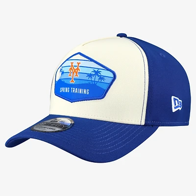 Men's New Era  Stone York Mets 2026 Spring Training Fan Pack Gradient 39THIRTY Flex Hat