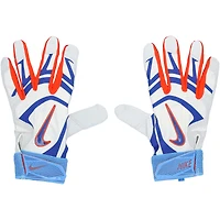 Pete Alonso New York Mets Autographed Player-Issued Nike Batting Gloves from the 2025 MLB Season