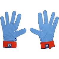 Pete Alonso New York Mets Player-Issued / Nike Batting Gloves from the 2025 MLB Season