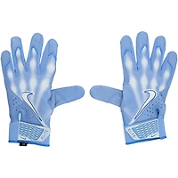 Pete Alonso New York Mets Player-Issued Blue Nike Batting Gloves from the 2025 MLB Season