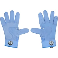Pete Alonso New York Mets Player-Issued Blue Nike Batting Gloves from the 2025 MLB Season