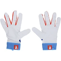 Pete Alonso New York Mets Player-Issued White Nike Batting Gloves from the 2025 MLB Season 