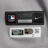 Maillot Nike gris n° 48 porté par Paul Goldschmidt des Yankees de New York contre les Blue Jays de Toronto, le 23 juillet 2025