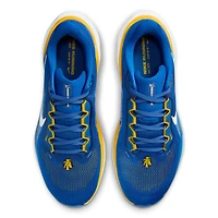 Chaussures de course unisexes Nike Royal North Carolina A&T Aggies Zoom Pegasus 41