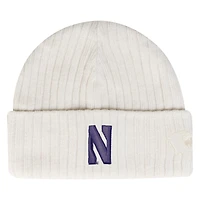 Bonnet en tricot à revers peu profond Under Armour Stone Northwestern Wildcats pour homme
