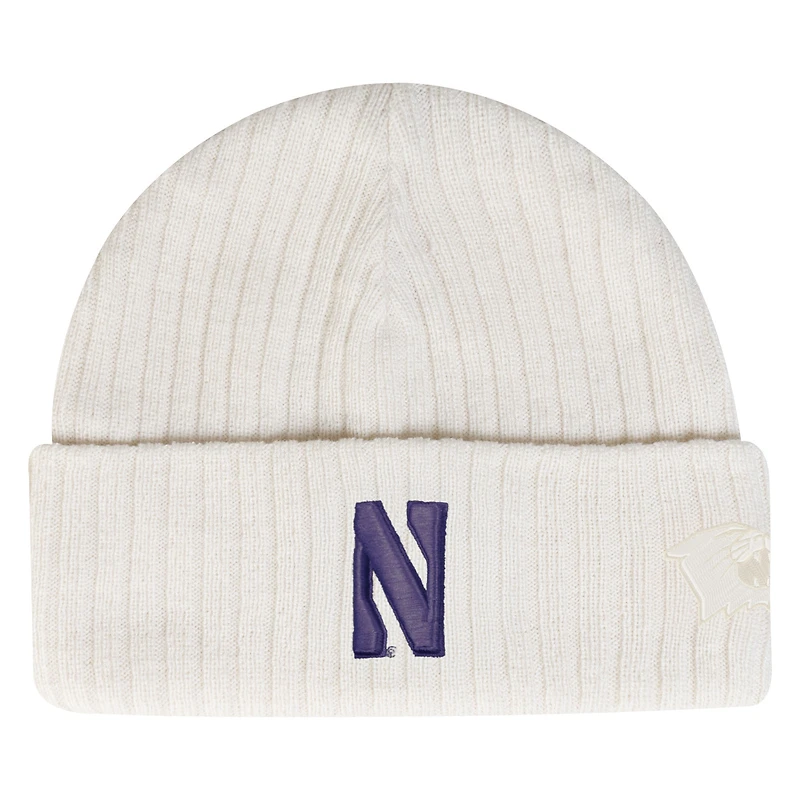 Bonnet en tricot à revers peu profond Under Armour Stone Northwestern Wildcats pour homme