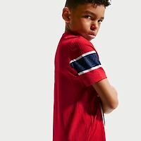 Maillot domicile authentique Nike rouge de l'équipe nationale Norvège pour jeunes (2026)