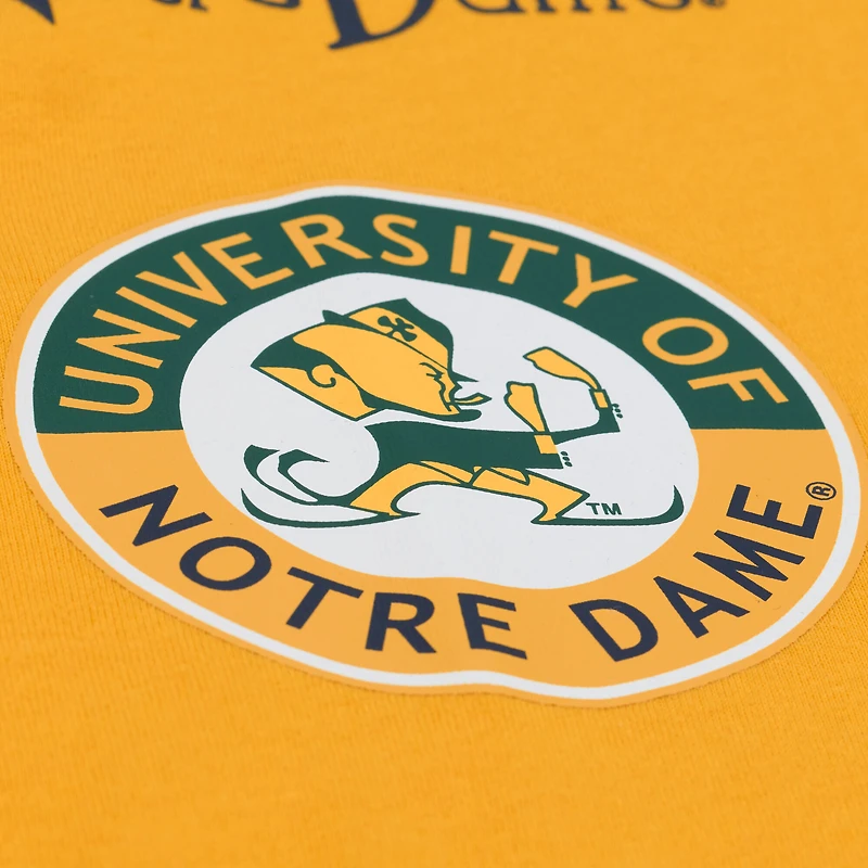 Men's Mitchell & Ness Gold Notre Dame Fighting Irish Double Clutch Premium T-Shirt